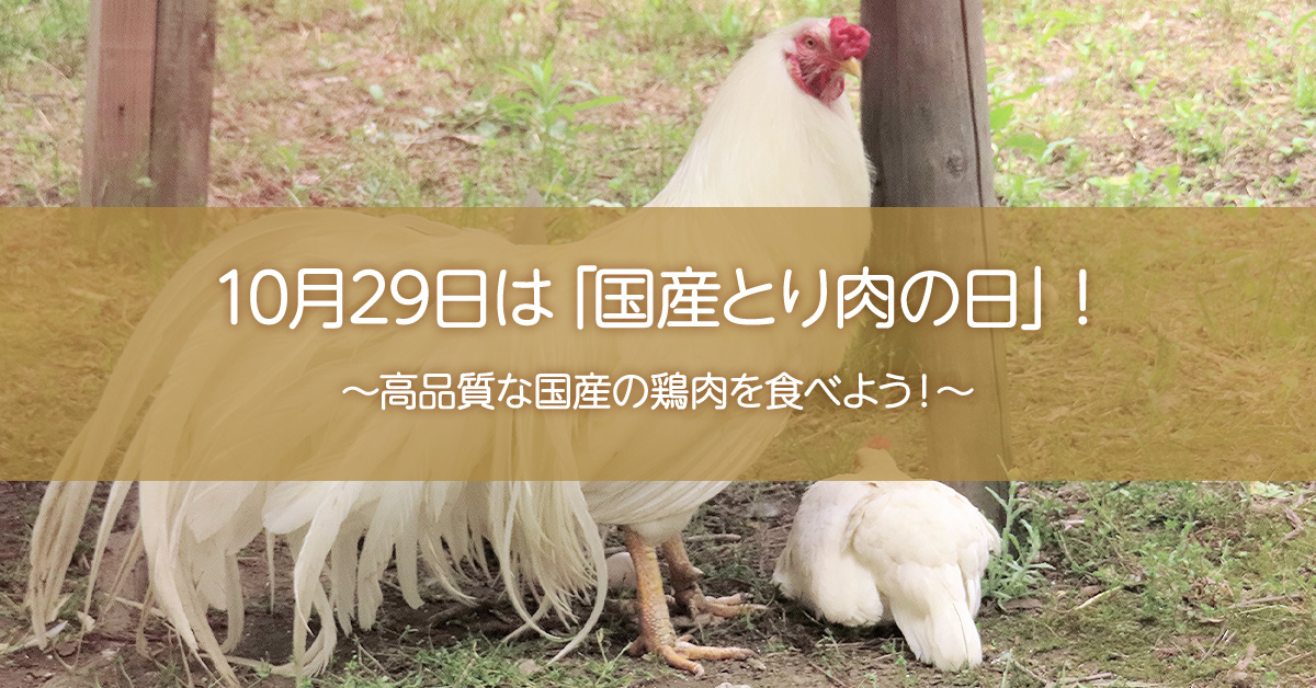 10月29日(木)は「国産とり肉の日」！高品質な国産の鶏肉を食べよう！